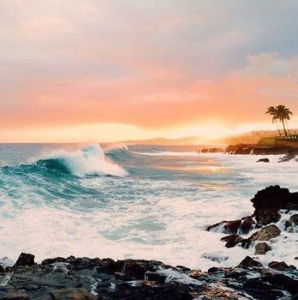 Meet your Posher, Kealani